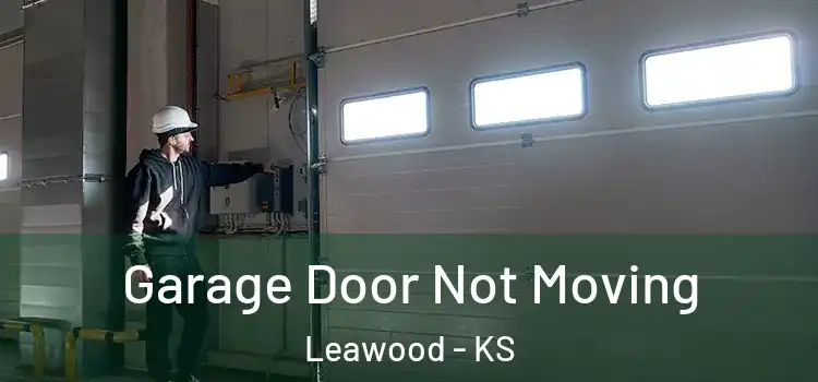  Garage Door Not Moving Leawood - KS