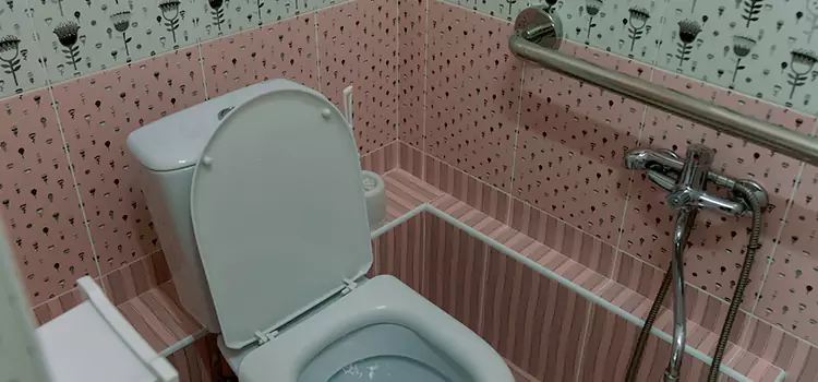 Meeting Diverse Needs With Accessible Restroom Solutions in Leawood, KS